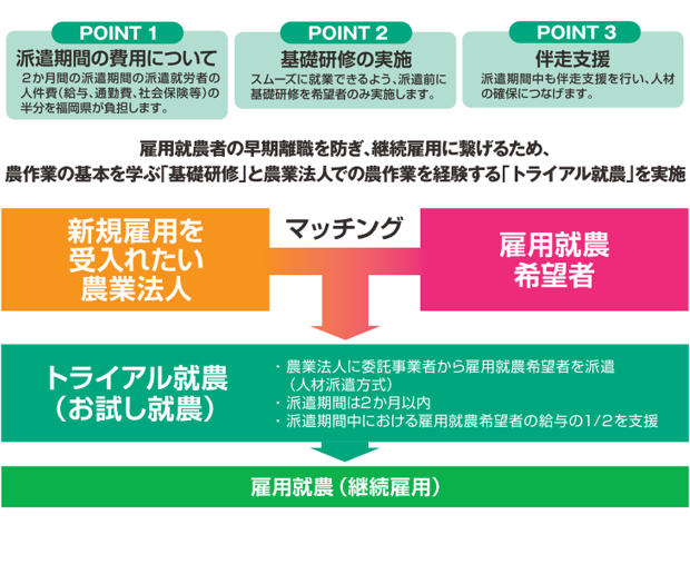 サポートパターン
