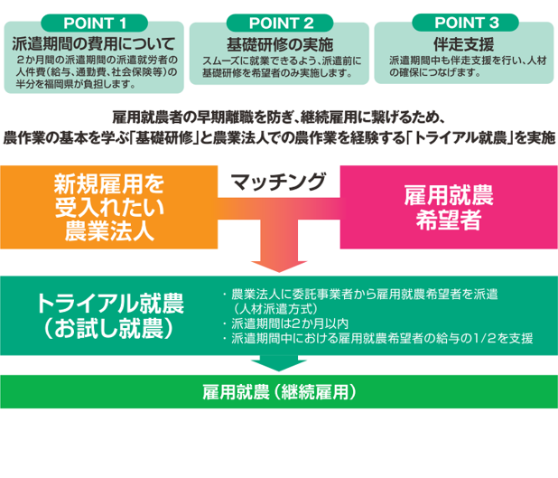 サポートパターン