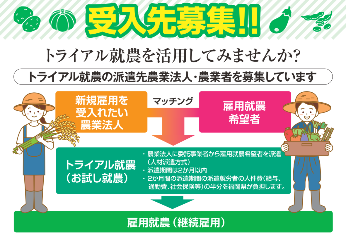 サポートパターン