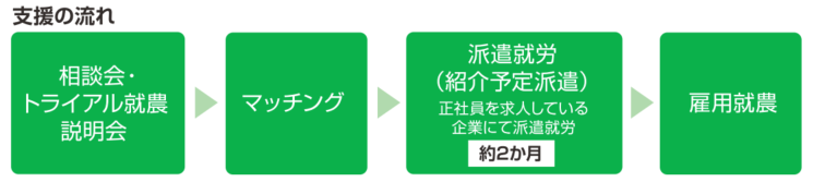 支援パターン
