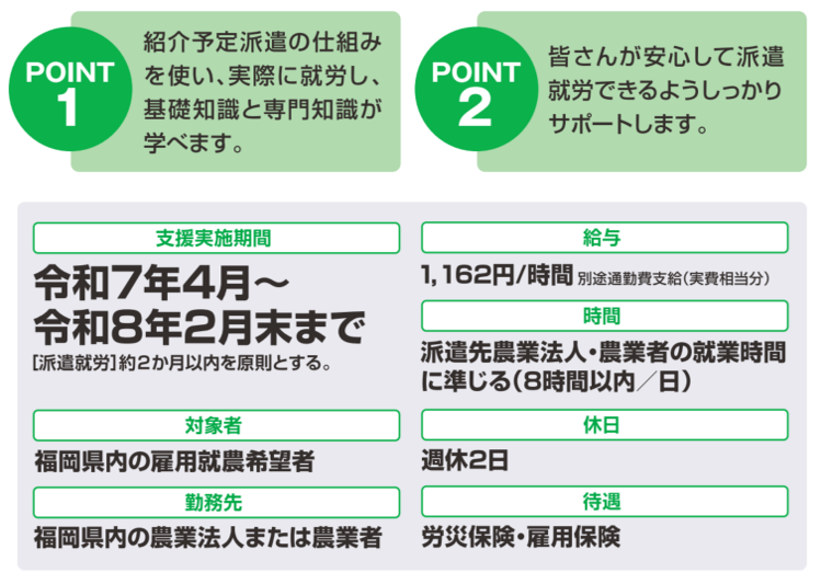 サポート内容