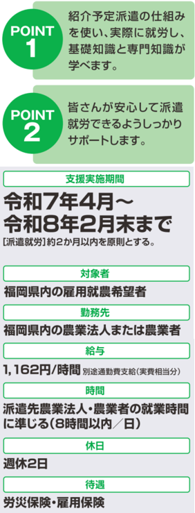 サポート内容