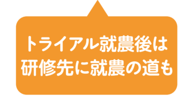 メリット３