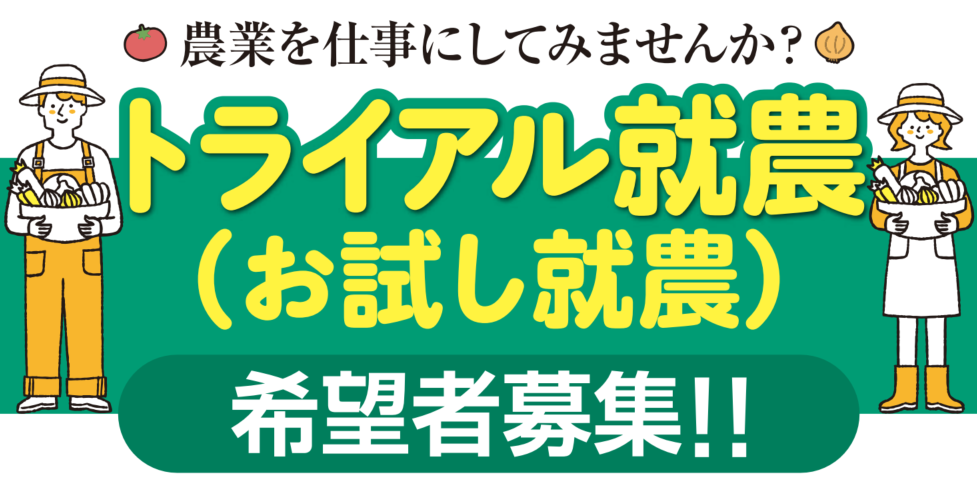 メリット１